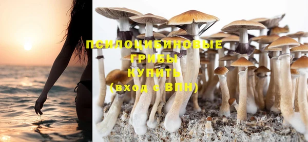 ешки Абдулино