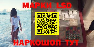 прущие грибы Ставрополь