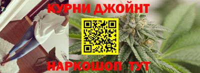 прущие грибы Ставрополь
