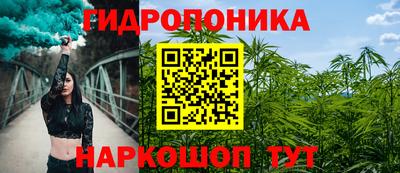 прущие грибы Ставрополь