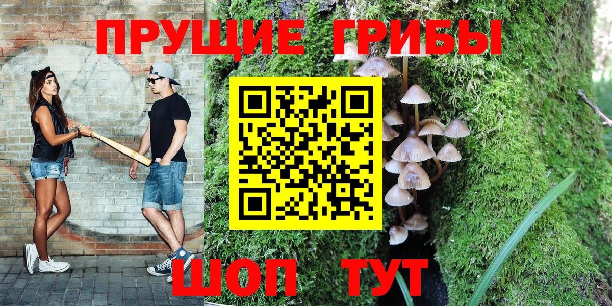 Псилоцибиновые грибы ЛСД  Псилоцибиновые грибы MAGIC MUSHROOMS  Азов  Вход с VPN 