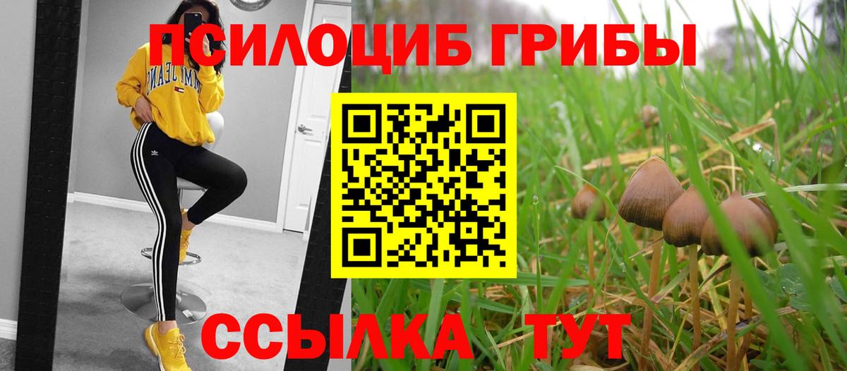 Конопля Азов